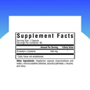 nac-500-mg-n-acetyl-l-cysteine-powerful--2.jpg