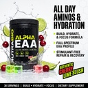 nutrabio-alpha-eaa-all-day-amino-acids-f-3.jpg