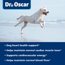 taurine-supplement-for-dogs-meets-rda-of-5.jpg