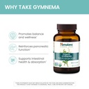 himalaya-organic-gymnema-sylvestre-herba-4.jpg