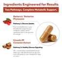 soactive-berberine-optimized-cinnamon-55-3.jpg