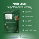 urvi-blood-sugar-support-gummies-300mg-a-4.jpg
