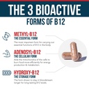 bioactive-vitamin-b12-1000-mcg-contains--3.jpg
