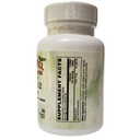 holly-hill-health-foods-coenzymated-meth-2.jpg