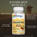 solaray-vitamin-b-12-5000mcg-lozenges-b1-3.jpg