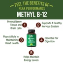 methyl-b12-vitamin-whole-food-blend-of-2-2.jpg