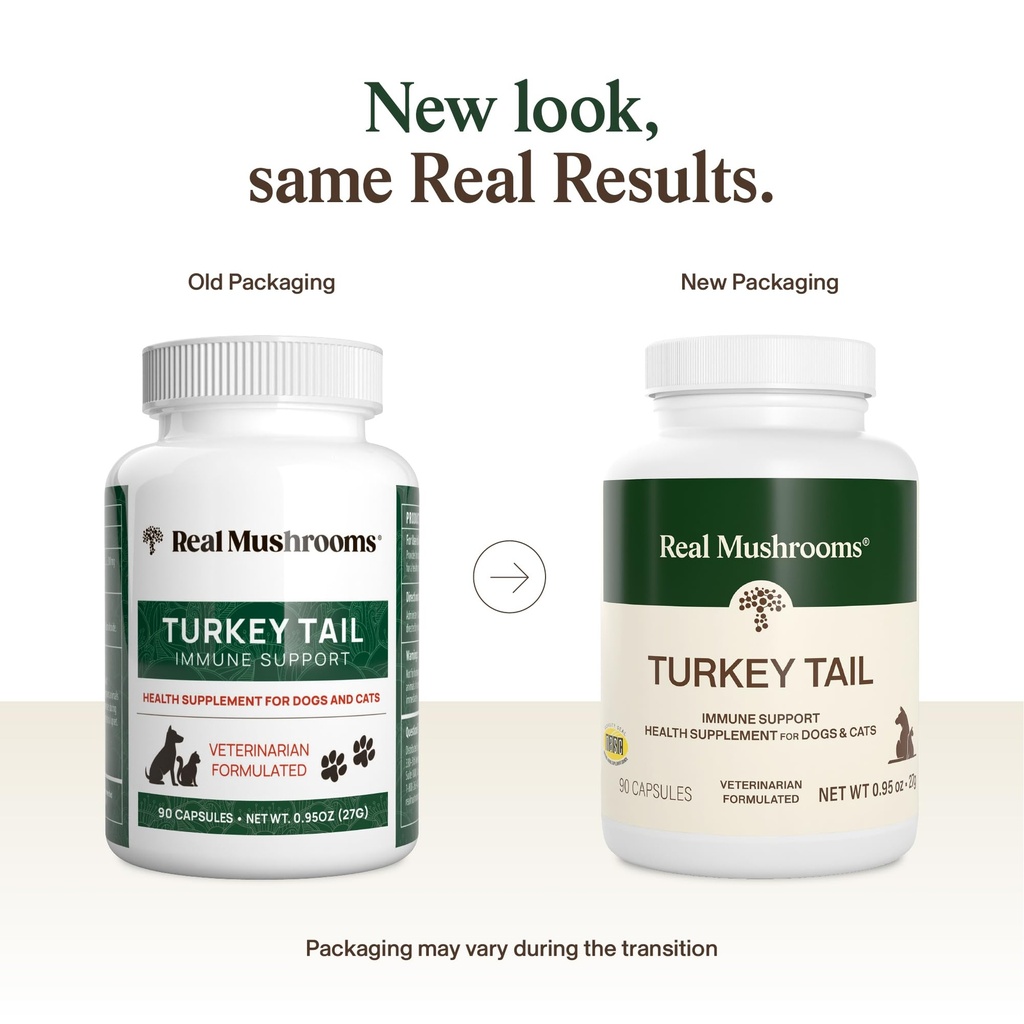 real-mushrooms-turkey-tail-capsules-for--2.jpg