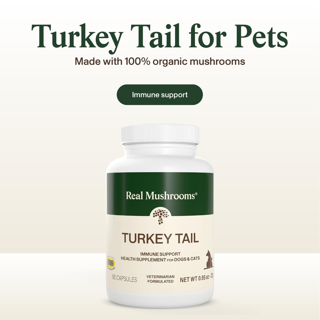 real-mushrooms-turkey-tail-capsules-for--3.jpg