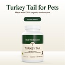real-mushrooms-turkey-tail-capsules-for--3.jpg