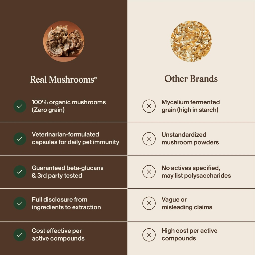 real-mushrooms-turkey-tail-capsules-for--6.jpg