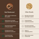 real-mushrooms-turkey-tail-capsules-for--6.jpg