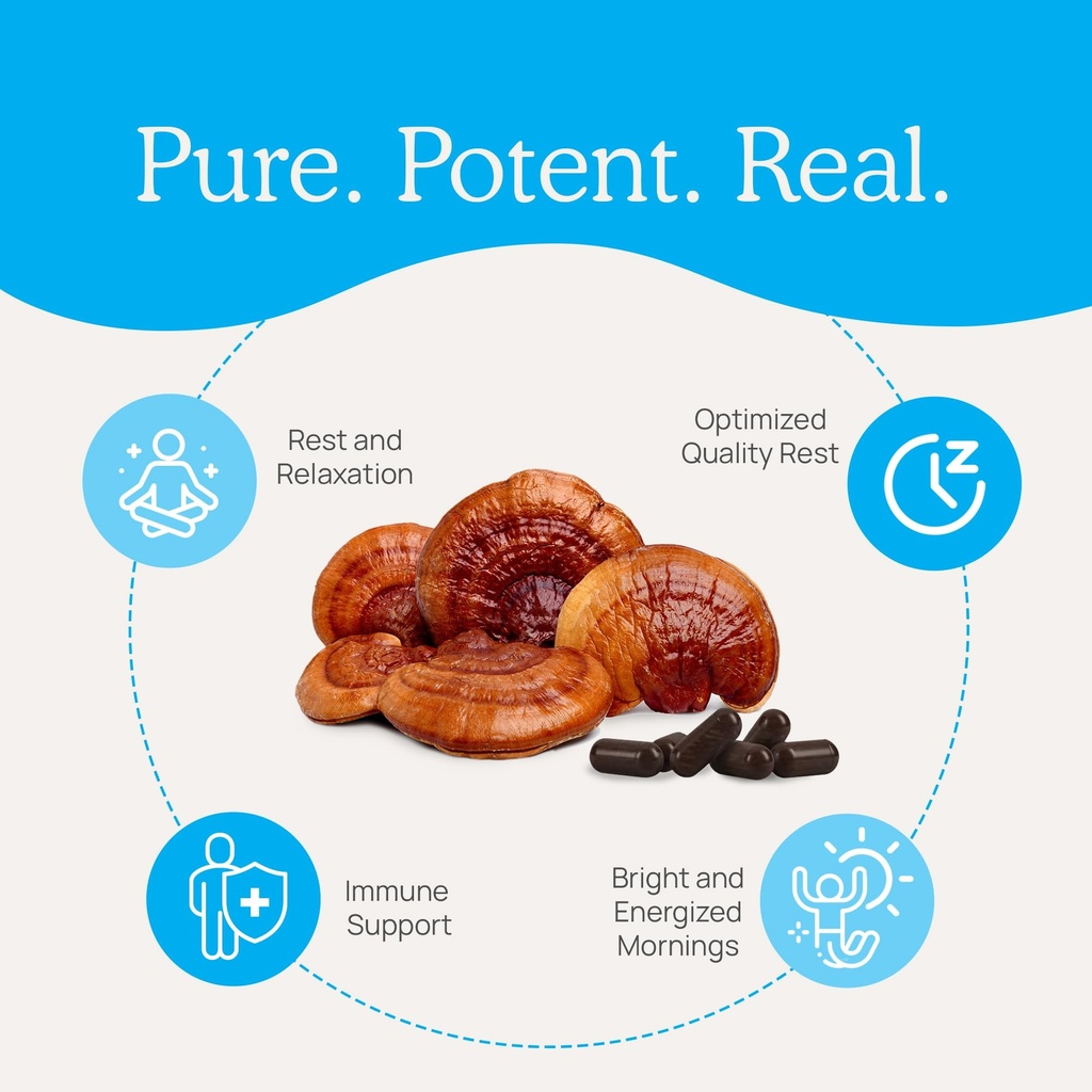 real-mushrooms-realrest-capsules-organic-5.jpg