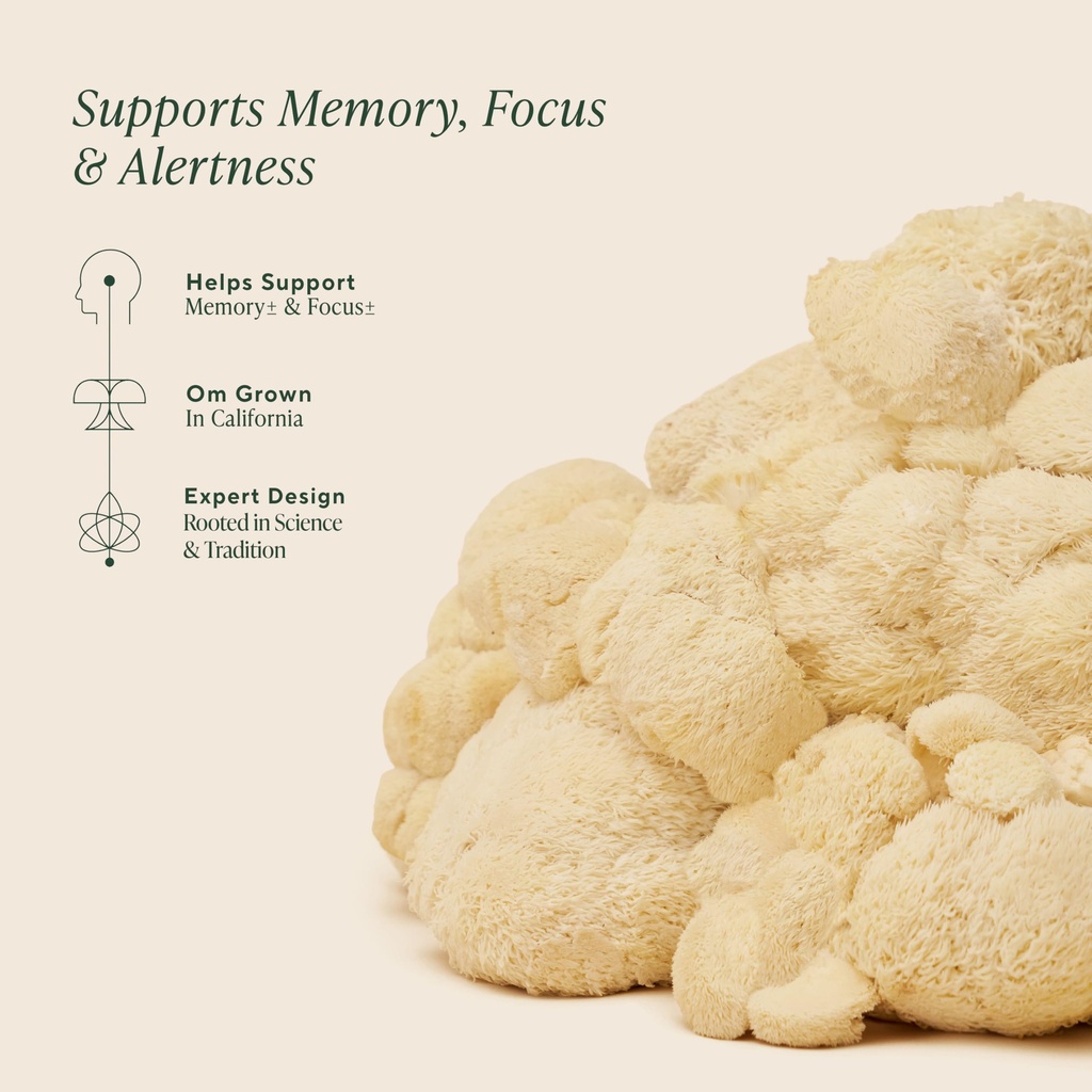 om-lion-s-mane-mushroom-powder-organic-m-3.jpg