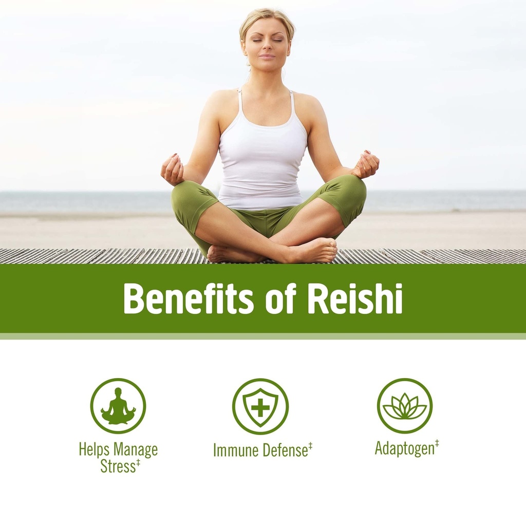 om-mushroom-superfood-reishi-organic-mus-3.jpg