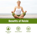 om-mushroom-superfood-reishi-organic-mus-3.jpg