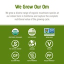 om-mushroom-superfood-reishi-organic-mus-6.jpg