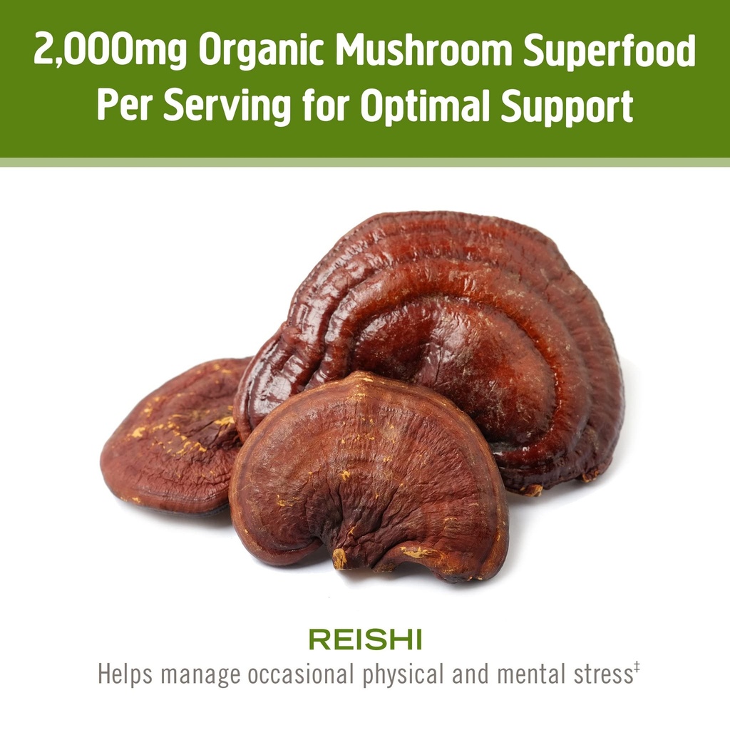 om-mushroom-superfood-reishi-organic-mus-4.jpg