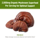 om-mushroom-superfood-reishi-organic-mus-4.jpg
