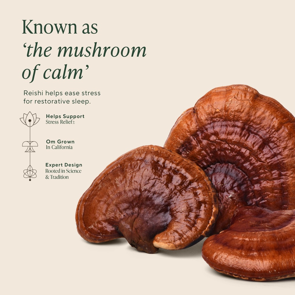 om-mushroom-superfood-sleep-mushroom-cap-3.jpg