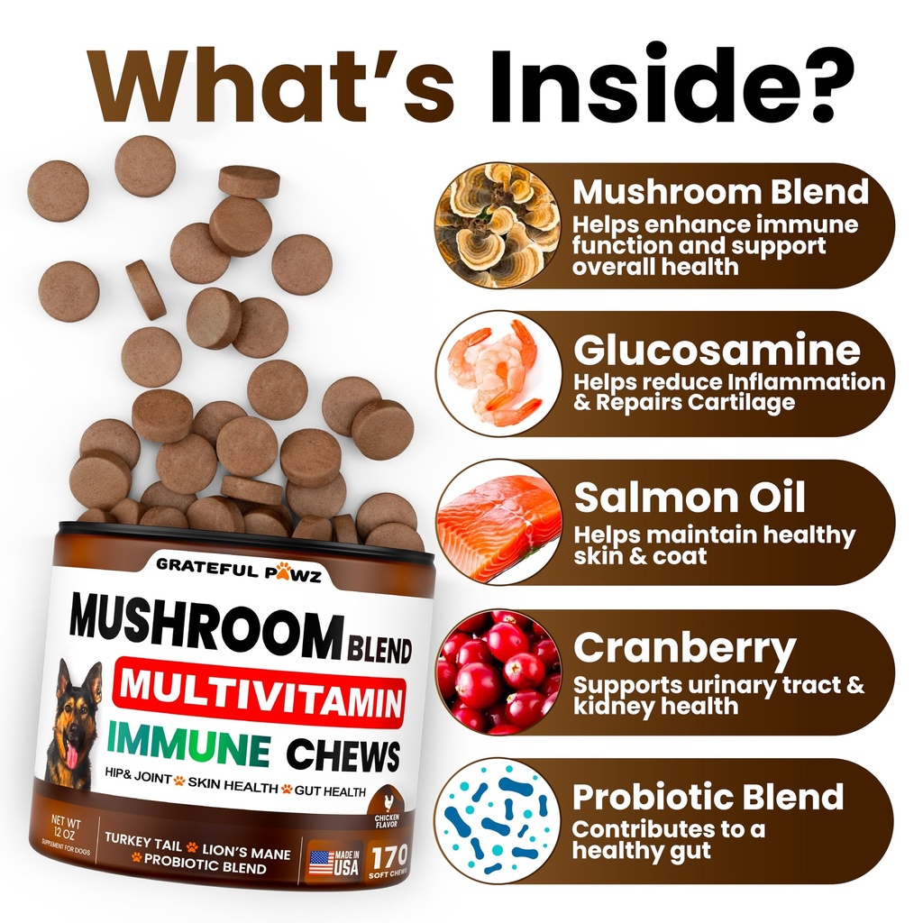 turkey-tail-mushroom-supplement-for-dogs-2.jpg