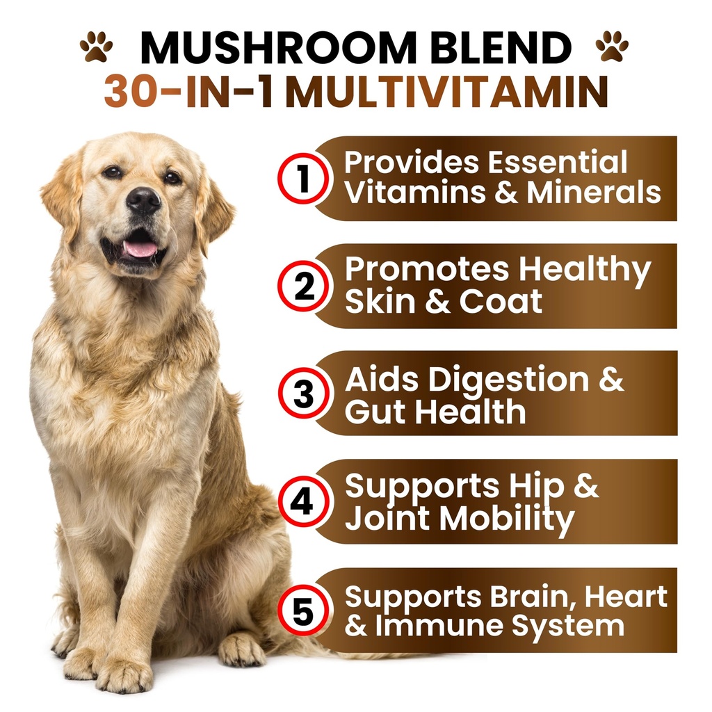 turkey-tail-mushroom-supplement-for-dogs-3.jpg