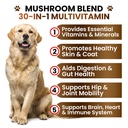 turkey-tail-mushroom-supplement-for-dogs-3.jpg
