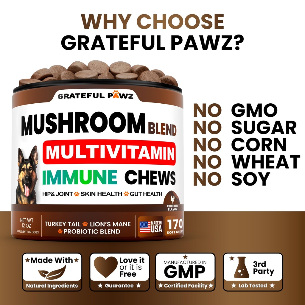turkey-tail-mushroom-supplement-for-dogs-4.jpg