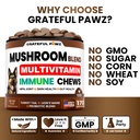 turkey-tail-mushroom-supplement-for-dogs-4.jpg
