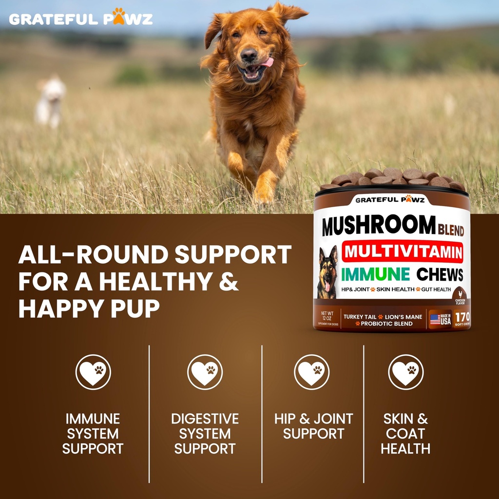 turkey-tail-mushroom-supplement-for-dogs-5.jpg