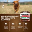 turkey-tail-mushroom-supplement-for-dogs-5.jpg
