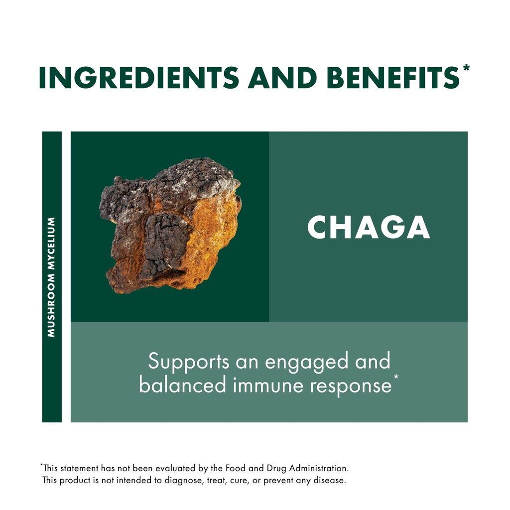host-defense-chaga-powder-immune-system--6.jpg