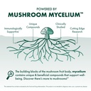 host-defense-chaga-powder-immune-system--4.jpg