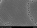 colloidal-pmma-nanoparticles-cv-3-10-50--3.jpg
