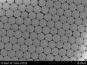 colloidal-pmma-nanoparticles-cv-3-10-50--2.jpg