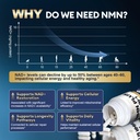 migcopat-lithium-orotate-complex-nmn-sup-5.jpg