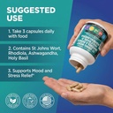 clean-nutraceuticals-st-johns-wort-rhodi-6.jpg