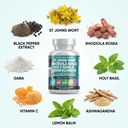 clean-nutraceuticals-st-johns-wort-rhodi-4.jpg