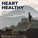 kal-coq10-30mg-antioxidant-formula-coenz-5.jpg