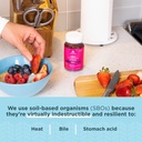 ancient-nutrition-probiotics-sbo-probiot-5.jpg