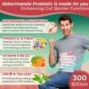 akkermansia-probiotics-gummies-with-preb-5.jpg