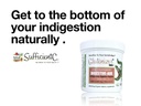 sufficient-c-glutenizer-force-plus-kiwi--4.jpg