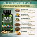 sea-moss-capsules-irish-sea-moss-supplem-4.jpg