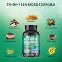 peakhealth-shilajit-sea-moss-black-seed--4.jpg