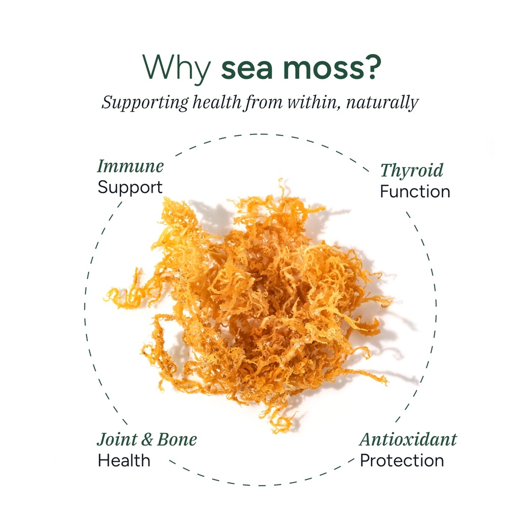 root-labs-sea-moss-gummies-i-92-minerals-3.jpg