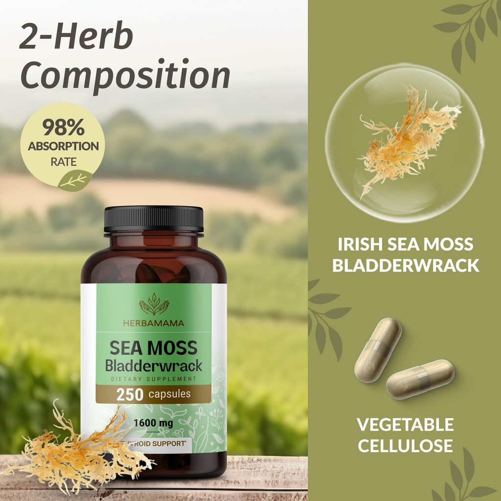 herbamama-irish-sea-moss-capsules-1600mg-4.jpg