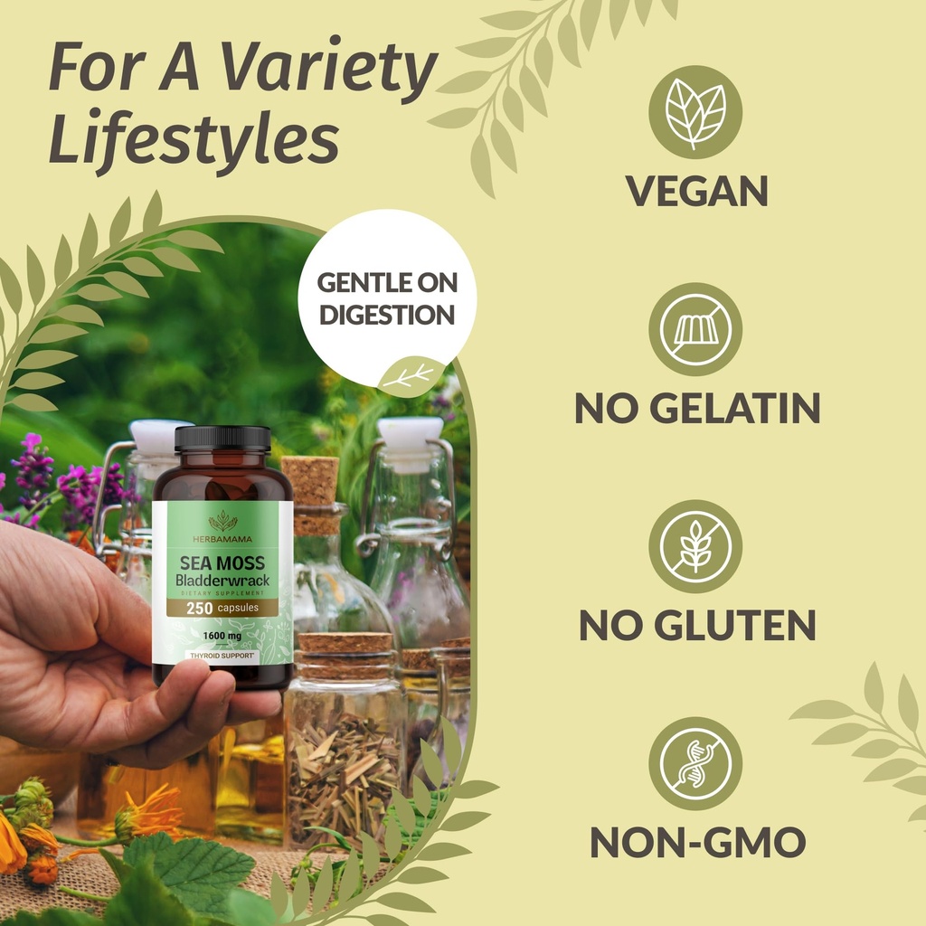 herbamama-irish-sea-moss-capsules-1600mg-5.jpg