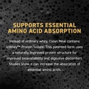 kaged-clean-meal-powder-chocolate-peanut-5.jpg