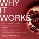 the-jelly-stick-supplement-pomegranate-g-5.jpg