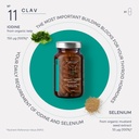 organic-thyroid-support-supplement-with--4.jpg