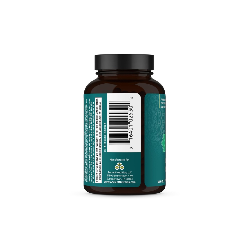ancient-nutrition-thyroid-support-supple-2.jpg